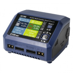 Skyrc D100 Neo Lipo 1-6S 10A 100W AC Charger SK100199-01